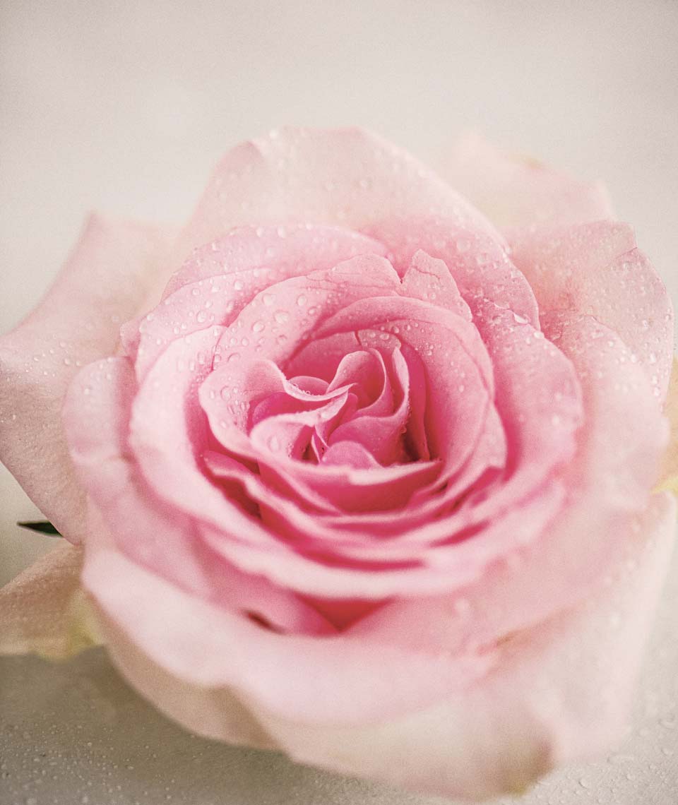 Honeyboos Visiting Massage SW London and Surrey